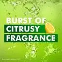 liril lime and tea tree oil soap – 75 g