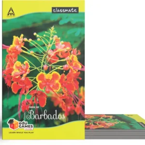 Classmate Notebook Set – Unruled (Pack of 6)