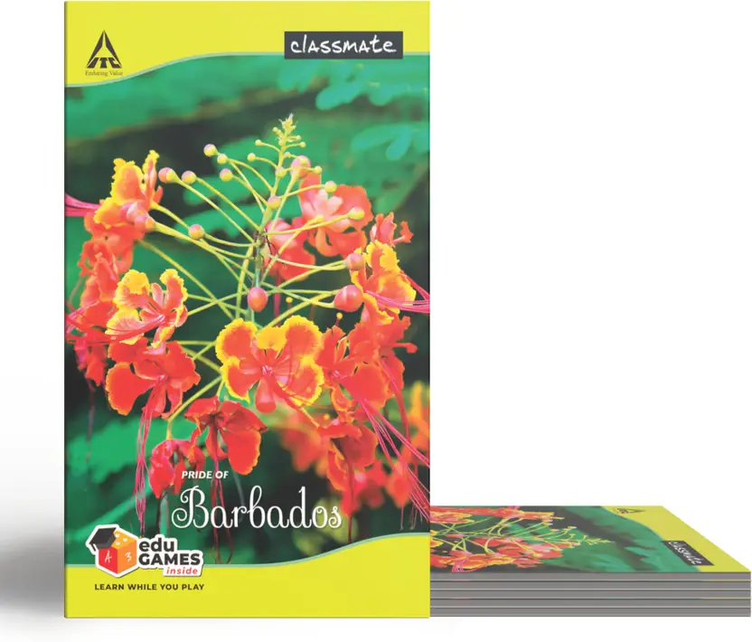 Classmate Notebook Set – Unruled (Pack of 6)