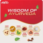 dabur red paste complete cavity protection toothpaste – 450 g (pack of 3)