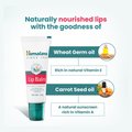 Himalaya Lip Balm – 10 g